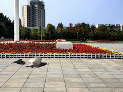 -大连人民广场