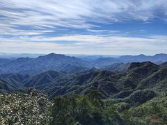 -六里坪国家森林公园