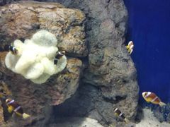 -福州罗源湾海洋世界旅游区