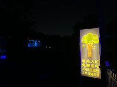 -枫花园汽车电影院(朝阳公园店)