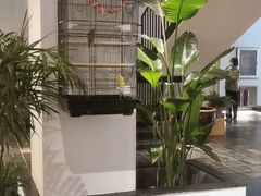 -瓦舍茶馆(聚源路店)