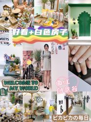 -好看加白色房子