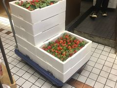 -眷茶(大卫城10楼店)