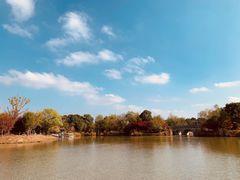 -梁鸿国家湿地公园