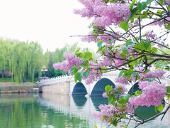 -陶然亭公园