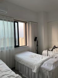 -凡碧诗毛孔收细