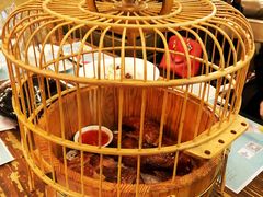 -胡桃里乐队酒馆(长春总店)