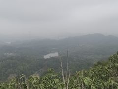 -深圳仙湖植物园
