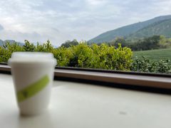 -白茶原·一片叶子