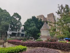 -荔湾湖公园