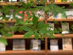 -二酉书店TOYOU BOOKS