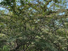 -森林公园(尖草坪区)