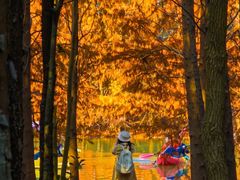 -上海海湾国家森林公园