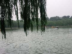 -廊坊市自然公园