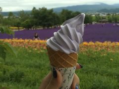 -富田农场