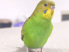 -天河体育中心