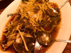 -金燕岛潮州酒楼