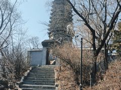 -高尔山公园