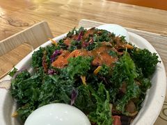 -油梨树 AVOCADO TREE(亮马桥店)