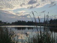 -春花秋色城市公园