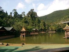 -西双版纳原始森林公园