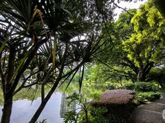 -晓港公园