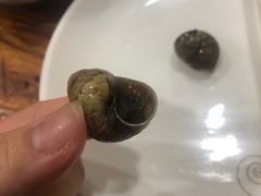 -广宁炭炉鸡煲·富临门饭店