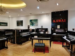 -柏斯琴行(汾阳店)