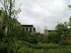 -上海崇明金茂凯悦酒店