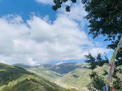 -大同削面馆(五台山风景名胜区店)
