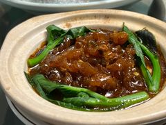 玉质龙筋-金龙·打边炉(南京西路店)