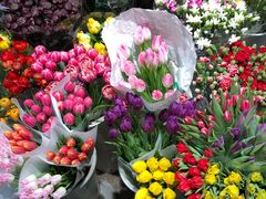 -双季花艺园艺市场(浦东店)