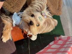 -恰八斗·猛火长沙菜(国贸店)