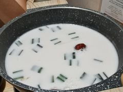 椰浆斑斓叶香茅汤底（纯素）-十二舍·湯物素煮(江泰潤政店)
