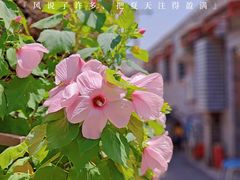 -前门大街