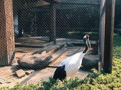 -南昌动物园