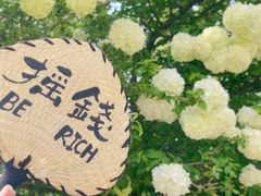 -常熟方塔园