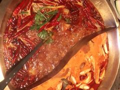 -小龙坎老火锅(华飞店)