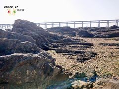 -黑石礁公园