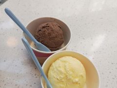 -八喜G’nature冰淇淋旗舰店