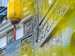 -长沙黑麋峰国家森林公园