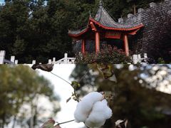 -花亭湖风景名胜区