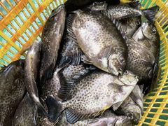 -三亚海棠湾万丽度假酒店