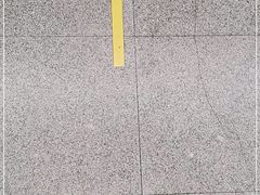 -上海市第十人民医院(总院)
