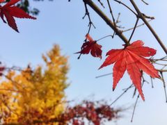 -范蠡湖公园