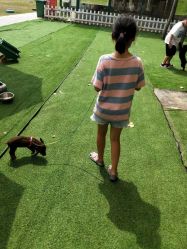 -上美四季动物农场