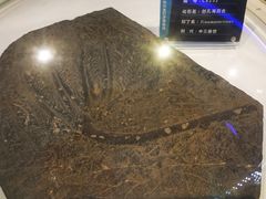 -金钉子远古世界景区