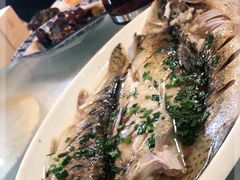 -呼吸森林·生态农庄农家乐私房菜