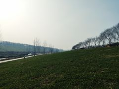-洨河生态公园