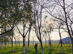 -上海海湾国家森林公园